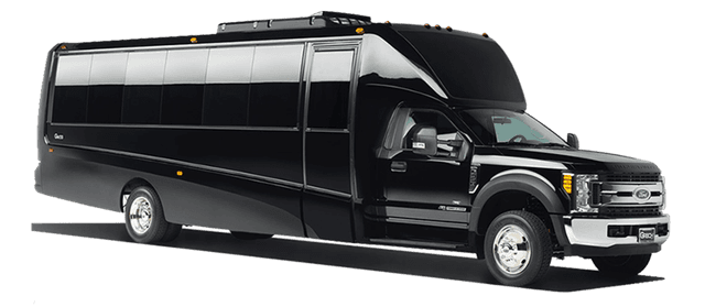 Mini Coach