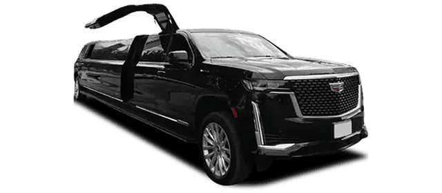 Stretch Limousine 16P