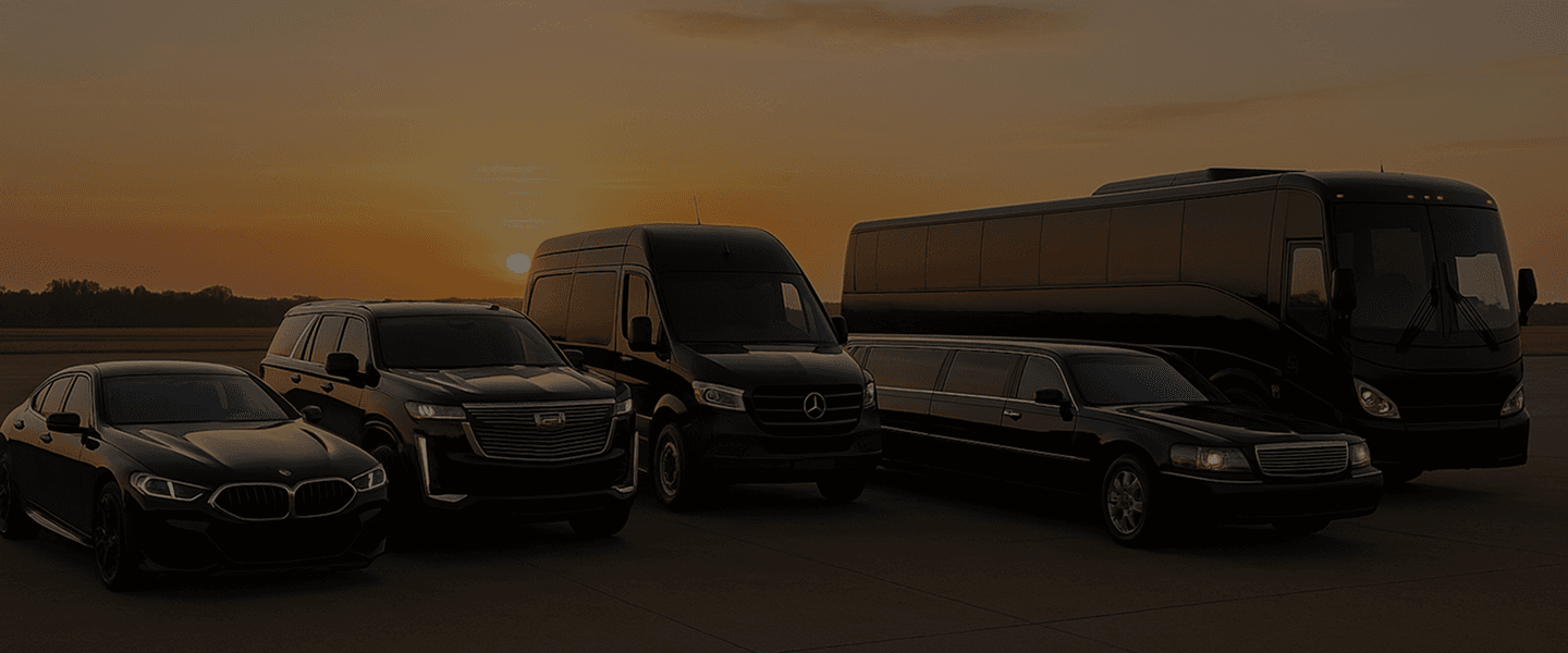 Chauffeured transportation for business and official visits
