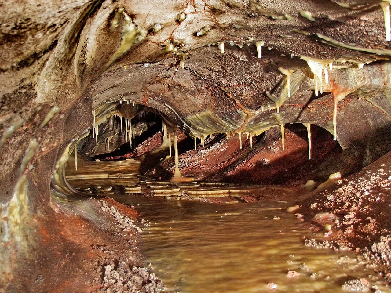 Wind Cave Gateway, South Dakota — destination view