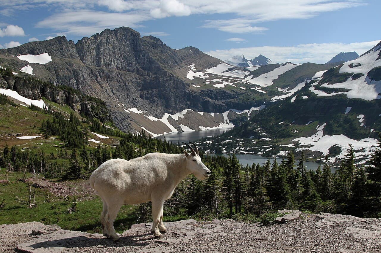 Glacier National Park Gateway, Montana — destination view