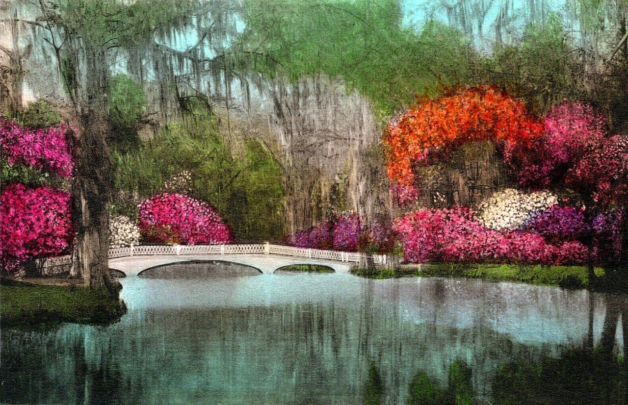 Magnolia Plantation & Gardens, South Carolina — destination view