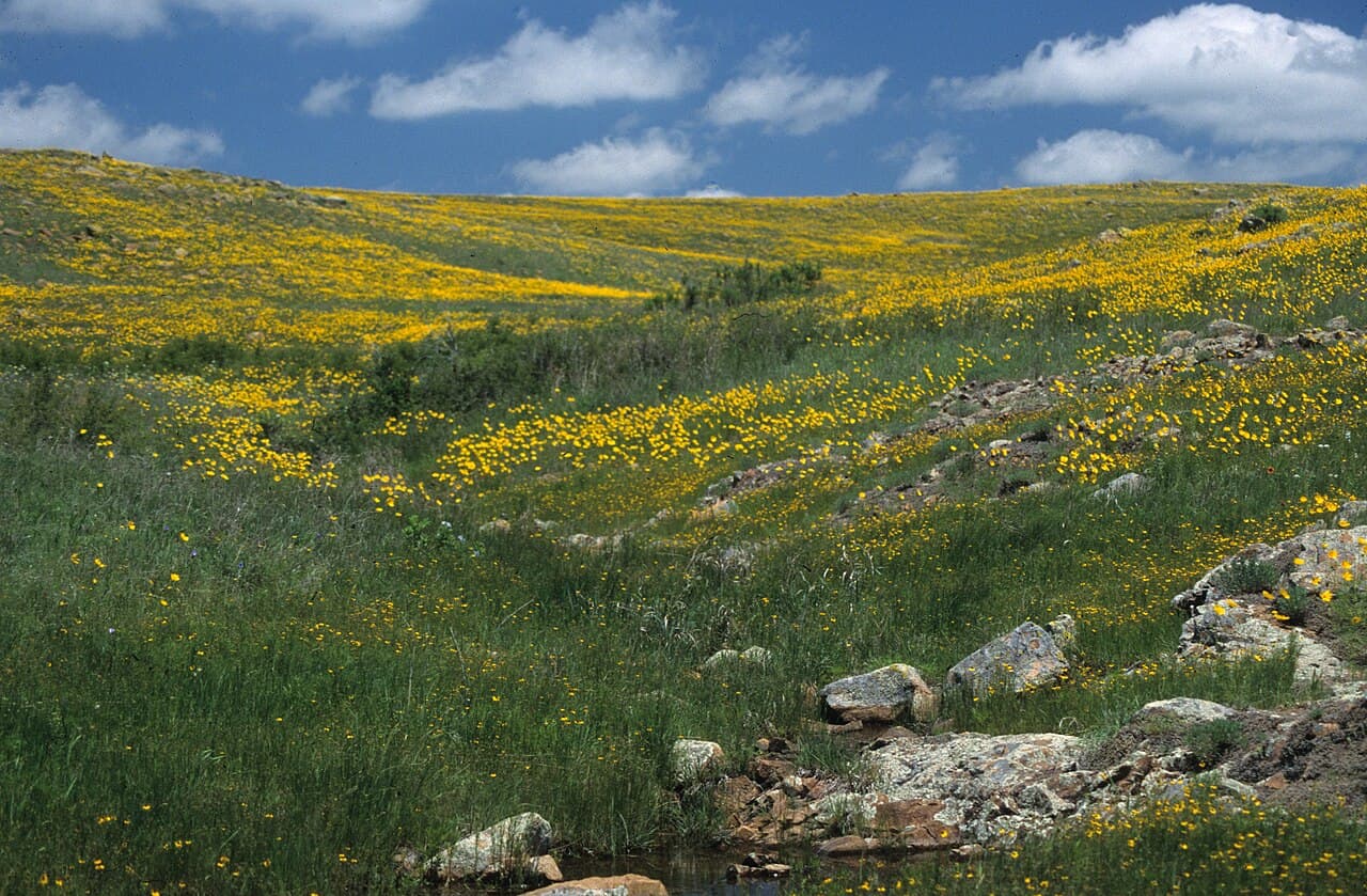 Wichita Mountains Gateway, Oklahoma — destination view
