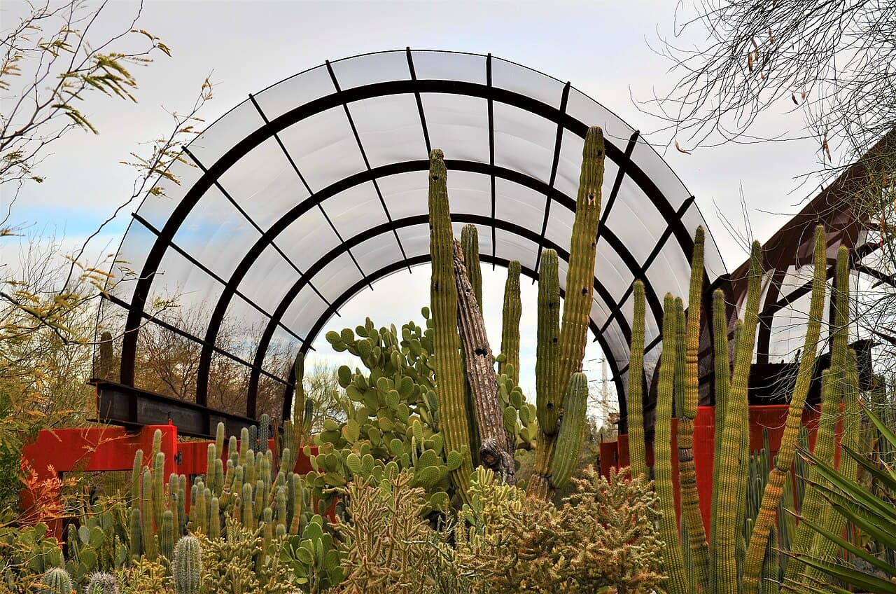 Desert Botanical Garden, Arizona — destination view