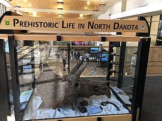 Exhibit inside Bismarck Municipal Airport