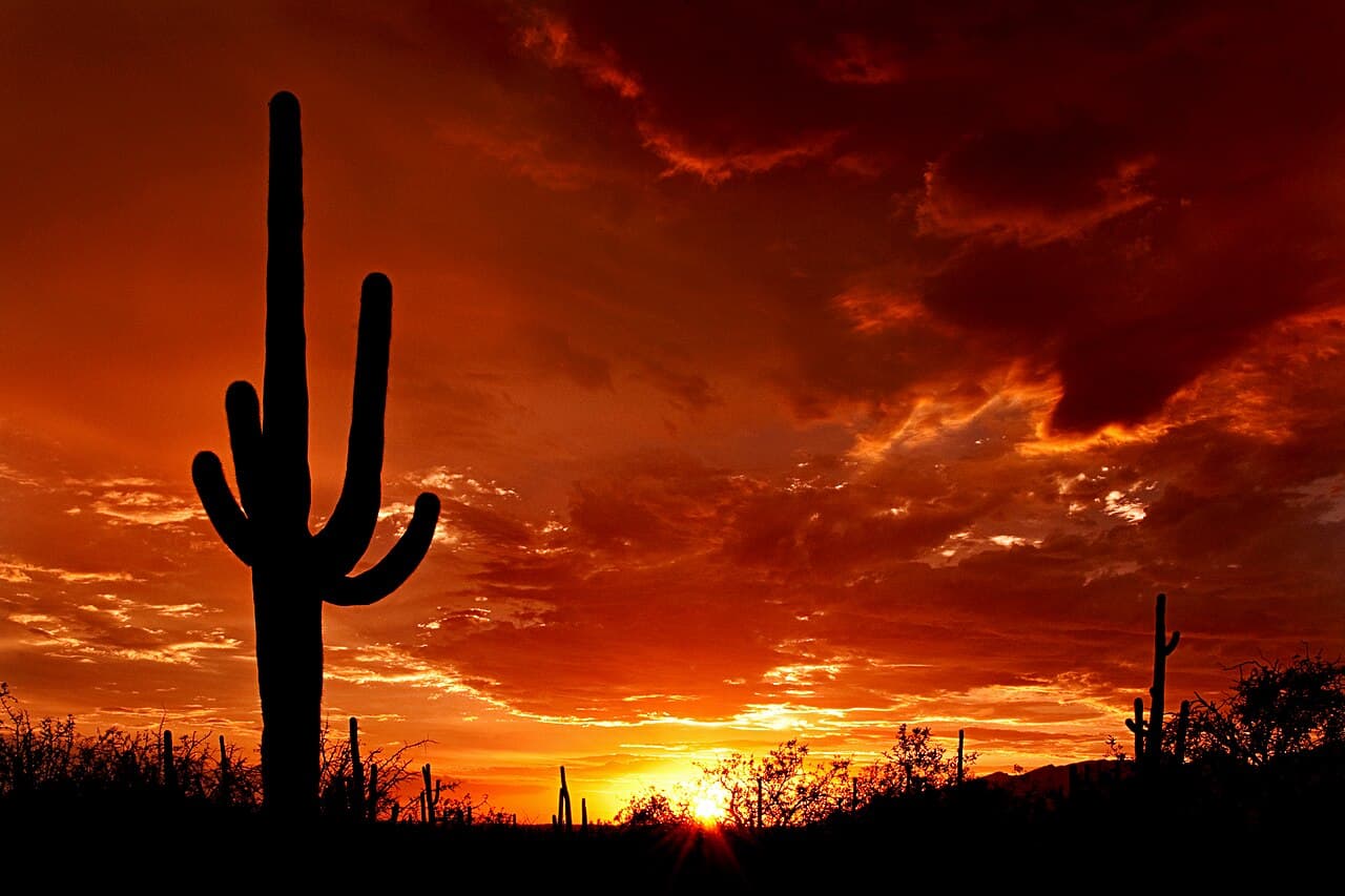 Tucson & Saguaro National Park, Arizona — destination view