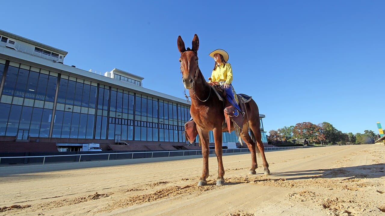 Oaklawn Racing & Gaming, Arkansas — destination view