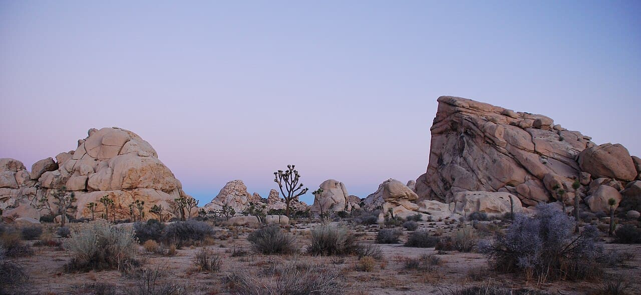 Joshua Tree, California — destination view