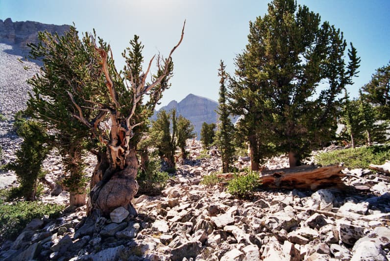 Great Basin Gateway, Nevada — destination view